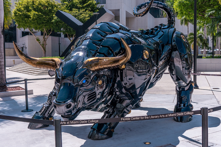miami-bull-miami-dade-college-720x480